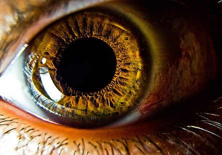 closeup oczy brązowe oczy uczeń 3702x2592 Nature close-up HD Sztuka, oczy, zbliżenie, Tapety HD HD wallpaper