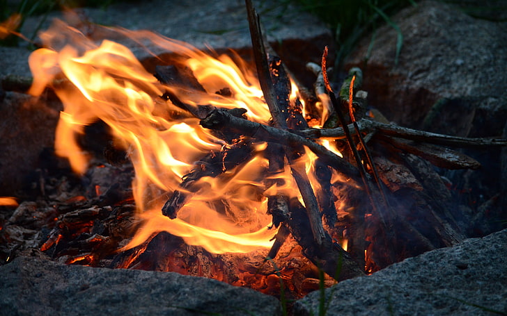 fuego anaranjado, fuego, camping, madera, naturaleza, roca, Fondo de pantalla HD
