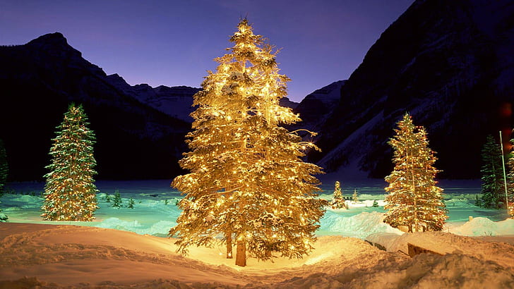 Осветени коледни елхи на открито, борови дървета с нишки, празници, 1920x1080, дърво, Коледа, весела Коледа, HD тапет