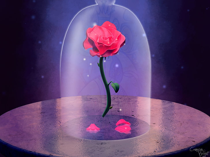 Beauty And The Beast, Movie, Pink, Pink Rose, Rose, HD wallpaper