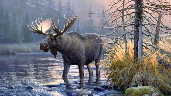wildlife, lake, moose, wilderness, deer, water, amazing, HD wallpaper