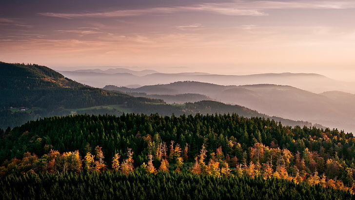 Grüner Wald Berg, Natur, Landschaft, Berge, Bäume, Wald, Nebel, HD-Hintergrundbild