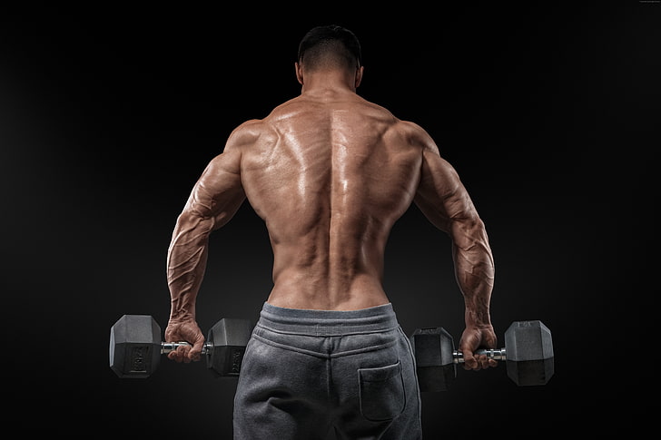 Bodybuilding, Stehen auf der Bank, Training, Bewegung, Rücken, Motivation, Langhantel, HD-Hintergrundbild