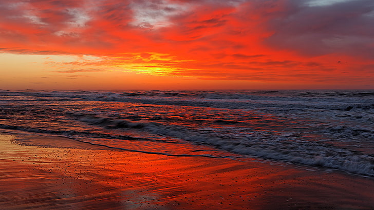 horizonte, mar, puesta de sol ardiente, resplandor crepuscular, puesta de sol, cielo rojo, océano, playa, orilla, ola, Fondo de pantalla HD
