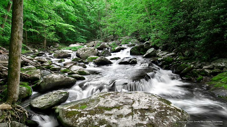 Middle Prong Little River, Great Smoky Mountains, Tennessee, Spring/Summer, HD wallpaper