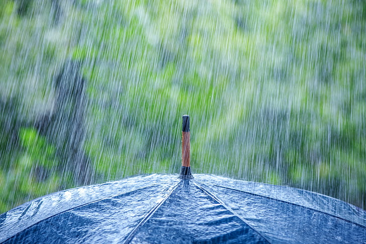 Regn, paraply, svart paraply, regn, paraply, HD tapet