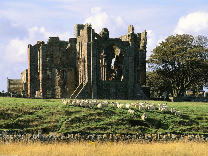 berwick, castles, kingdom, northumberland, tweed, united, HD wallpaper
