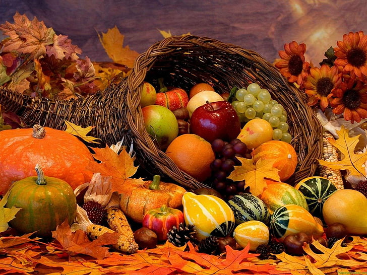otoño, fiesta, acción de gracias, turquía, Fondo de pantalla HD