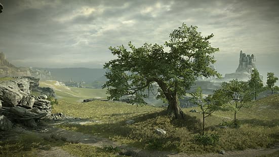 Baum, Felsen, Aussicht, Schatten des Kolosses, Im Schatten des Kolosses, Panormama, HD-Hintergrundbild HD wallpaper
