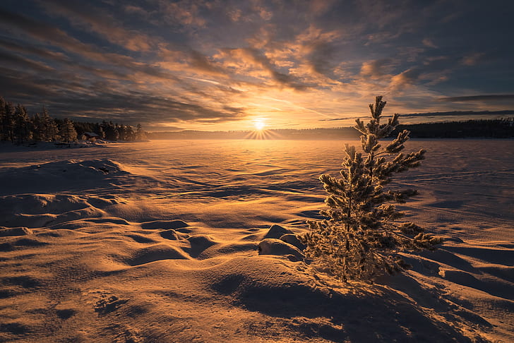 winter, snow, sunset, lake, Norway, the snow, RINGERIKE, HD wallpaper
