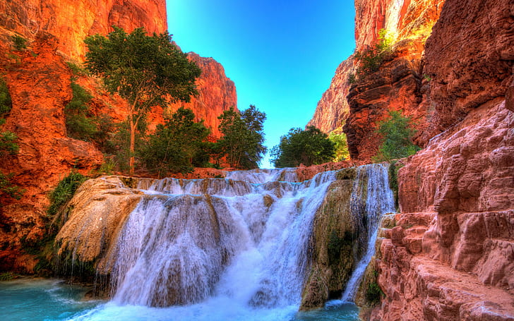 United States, Beaver Falls, rocks, waterfall, canyon, Arizona, bushes, United States, Grand Canyon National Park, hdr, Beaver Falls, HD wallpaper