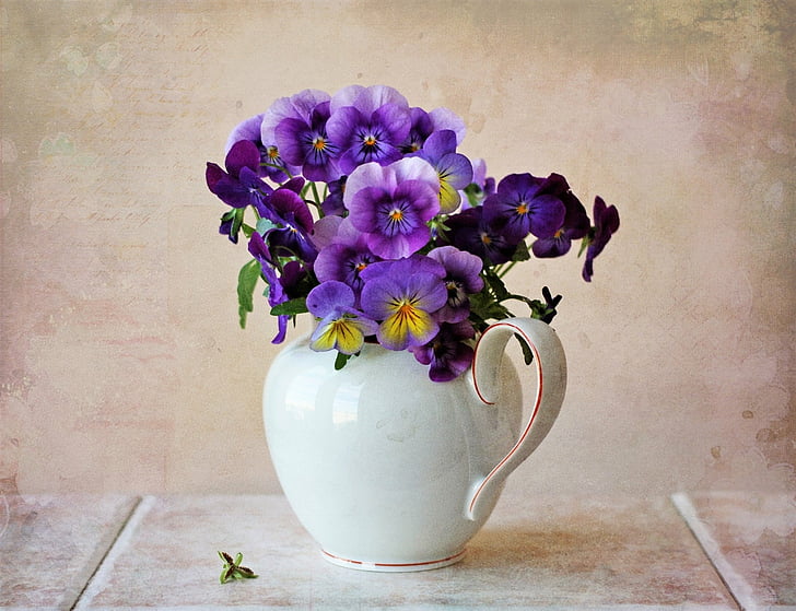 Photography, Still Life, Flower, Pansy, Pitcher, Purple Flower, HD wallpaper