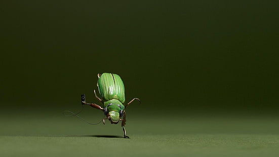 gorgojo, insecto, gracioso, escarabajo, artrópodo, mosca, invertebrado, escarabajo, Fondo de pantalla HD HD wallpaper