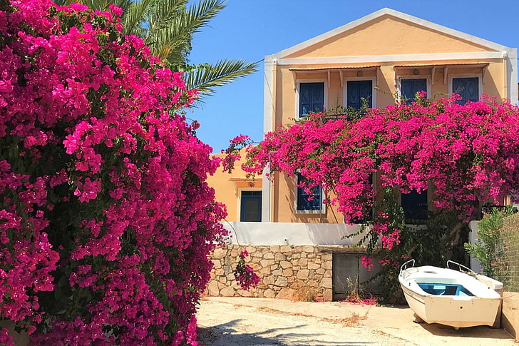 Buildings, House, Boat, Bougainvillea, Flower, Greece, Purple Flower, HD wallpaper