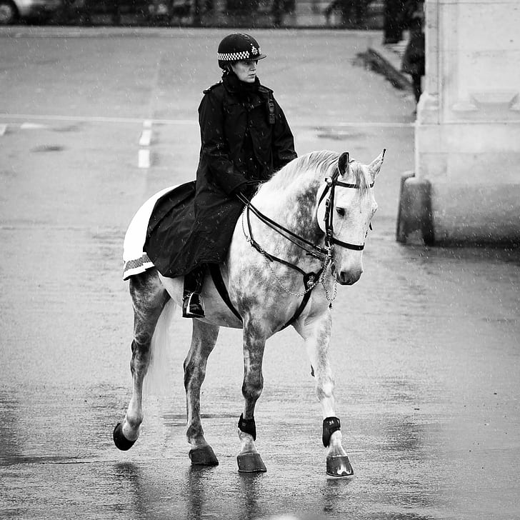 gray scale photo of woman riding on horse, gray scale, photo, city  police, police woman, snow  white, white horse, Londres, UK, foto, fotografia, imagen, photography, image, pic, mujer, policia, caballo, montada, ciudad, calle, llueve, nieva, europe, europa, photographer, horse, black And White, people, outdoors, animal, cultures, HD wallpaper