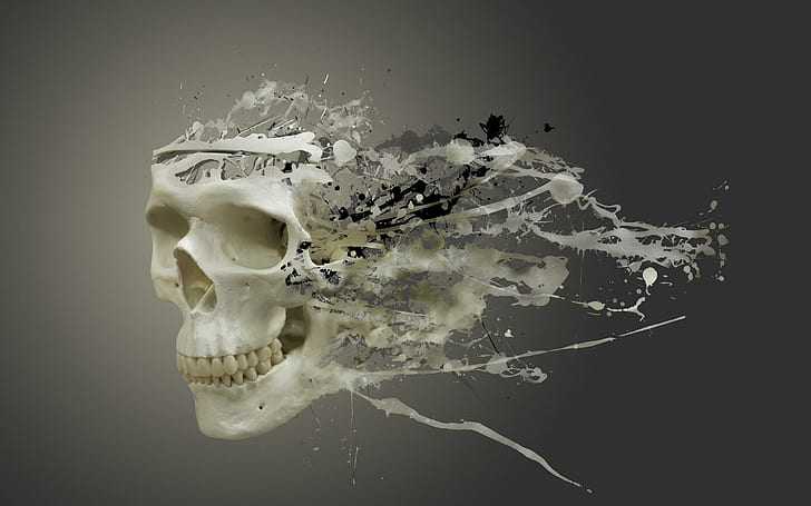 Disintegrating skull, disintegrating, skull, HD wallpaper