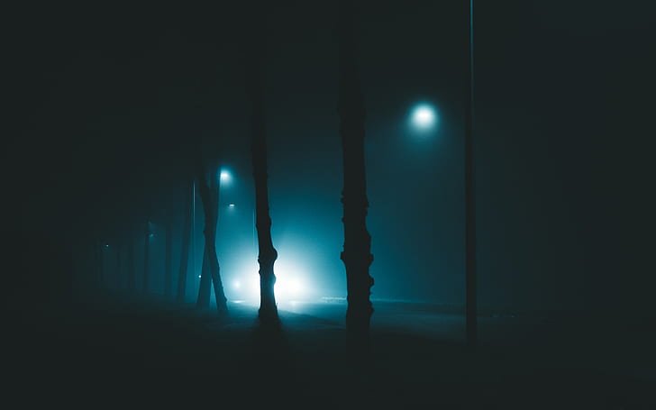 night, trees, fog, lights, light, gloomy, enveloping, HD wallpaper