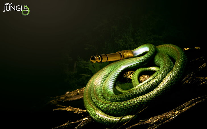 zielone gniazdo audio z motywem węża, wąż, muzyka, dżungla, Tapety HD