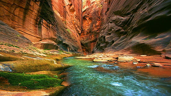 naturaleza, gran cañón, Fondo de pantalla HD HD wallpaper