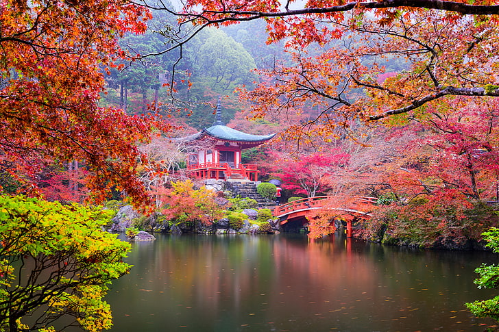 зеленые и оранжевые лиственные деревья, осень, листья, деревья, ветки, мост, пруд, парк, камни, Япония, лестница, пагода, Киото, кусты, разноцветные, HD обои
