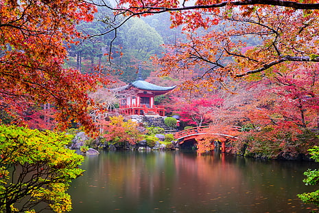 gröna och apelsinbladiga träd, höst, löv, träd, grenar, bro, damm, Park, stenar, Japan, stege, pagod, Kyoto, buskarna, färgglada, HD tapet HD wallpaper