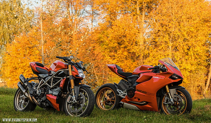 500 px, motocicleta, otoño, hojas, naranja, Ducati, Ducati 1199 Panigale, Ducati Streetfighter S, Fondo de pantalla HD