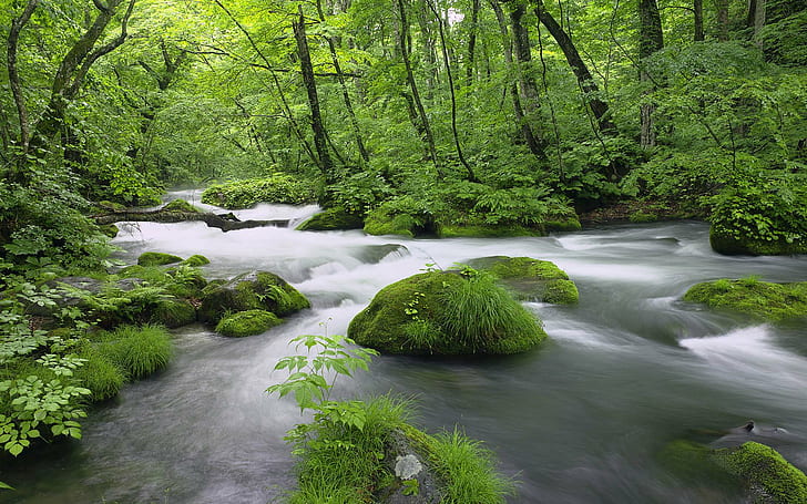 Lscape From Japan, trees, forest, stream, nature, river, green, japan, 3d and abstract, HD wallpaper