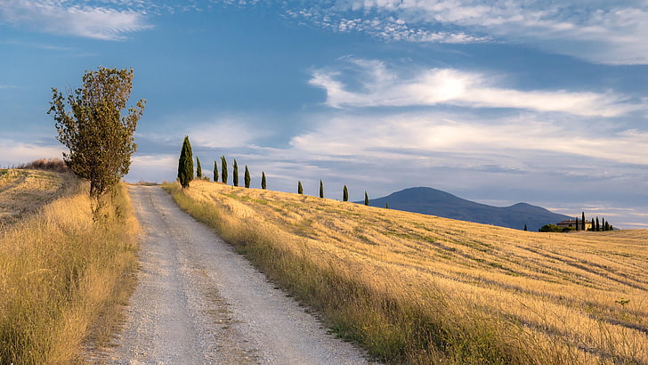 tuscany, italy, road, dirt road, cypress, cypress tree, hill, europe, landscape, val dorcia, countryside, rural area, field, HD wallpaper