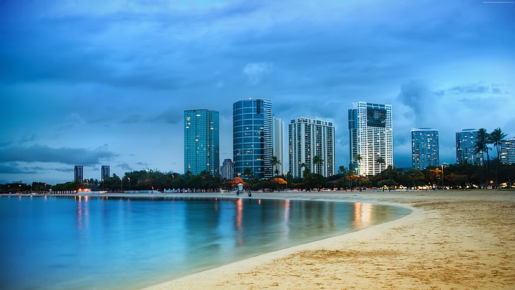 4k, orilla, playa, Miami, palmeras, océano, 5k, Fondo de pantalla HD