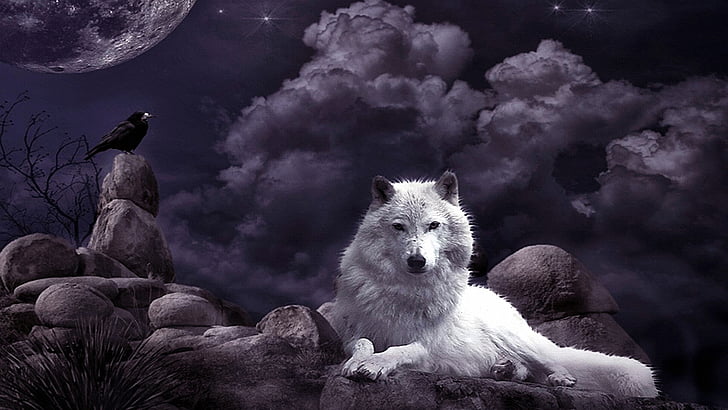 wilk, nocne niebo, noc, wrona, księżyc, fantasy art, biały wilk, mistyk, sztuka, kompozycja, kruk, Tapety HD