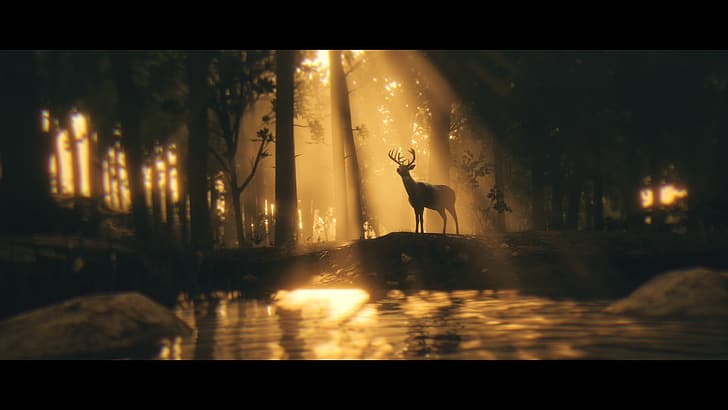 Red Dead Redemption 2, deer, HD wallpaper