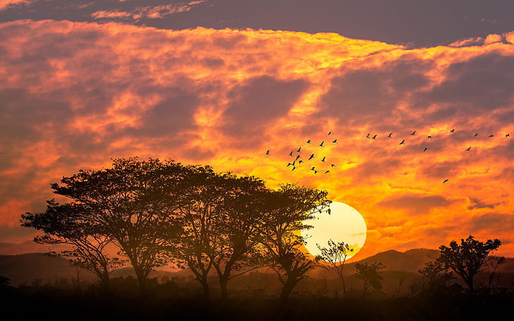 Piękny zachód słońca czerwone niebo chmury drzewa ptaki góry pulpit tapeta hd na tablet i telefon komórkowy 3840 × 2400, Tapety HD