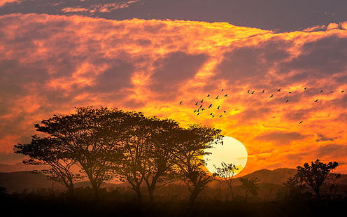 Piękny zachód słońca czerwone niebo chmury drzewa ptaki góry pulpit tapeta hd na tablet i telefon komórkowy 3840 × 2400, Tapety HD HD wallpaper