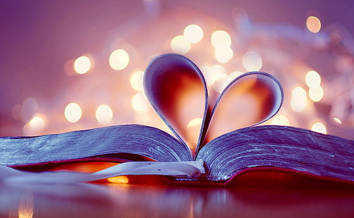 Kalp kitap, ciltli kitap, aşk, pembe, mor, kitap, kalp, okumak, okuma, HD masaüstü duvar kağıdı HD wallpaper