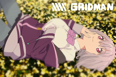  anime, anime girls, SSSS.GRIDMAN, Shinjou Akane, HD wallpaper HD wallpaper