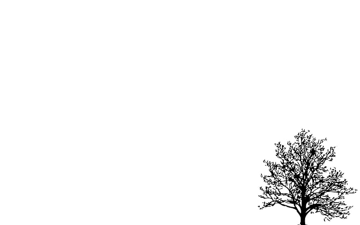 ミニマルな木シンプル背景白背景アートミニマルなhdアート 木
