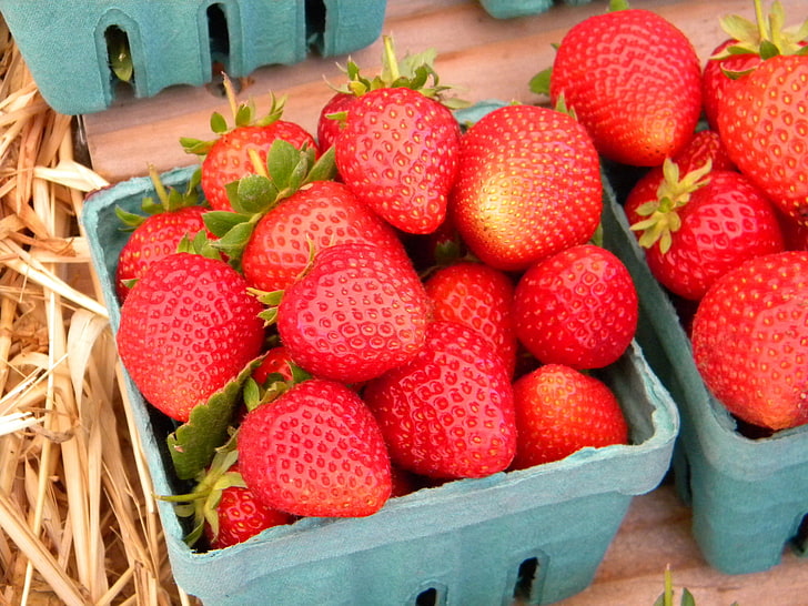bunch of strawberries, strawberries, berries, basket, HD wallpaper