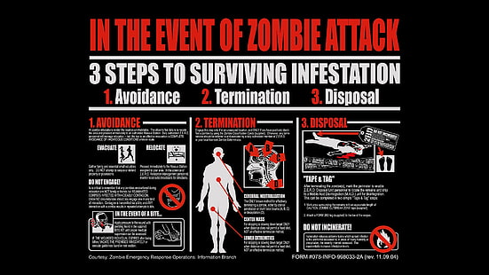 funny, inspirational, motivational, Phrase, posters, quotes, Sayings, Sentence, text, zombies, HD wallpaper HD wallpaper