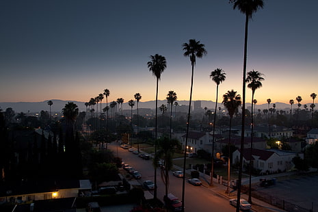 coucher de soleil, paysage urbain, Los Angeles, crépuscule, palmiers, rue, ville, Fond d'écran HD HD wallpaper