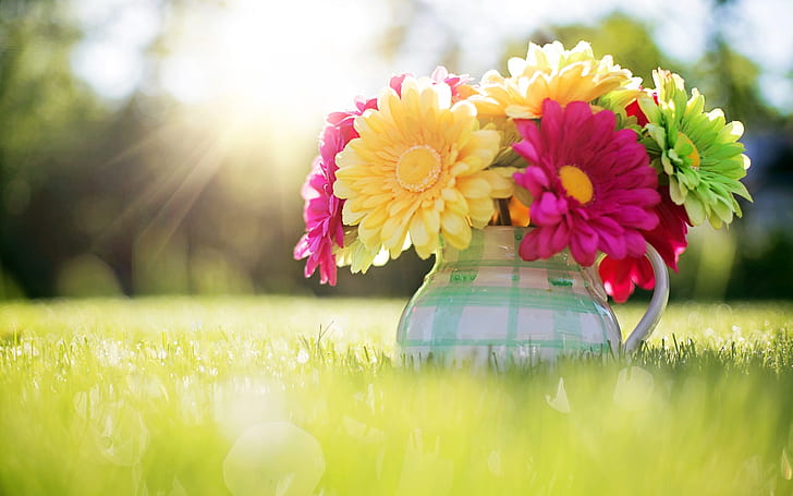Gerbera Bouquet, gerbera, bouquet, grass, spring, nature, HD wallpaper