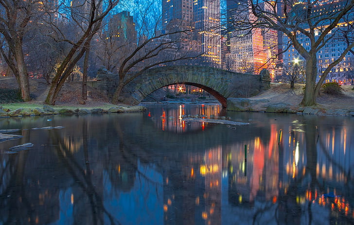New York Central Park, New York, lampu, senja, Central Park, Wallpaper HD