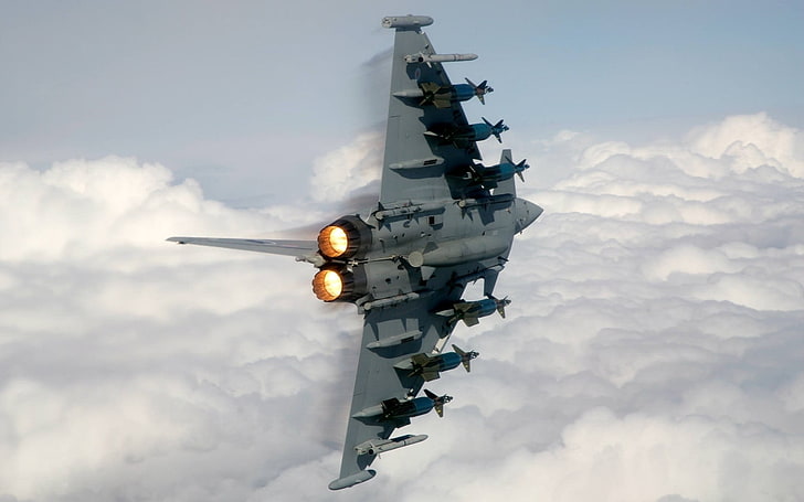 회색 전투기, 항공기, Eurofighter 태풍, HD 배경 화면
