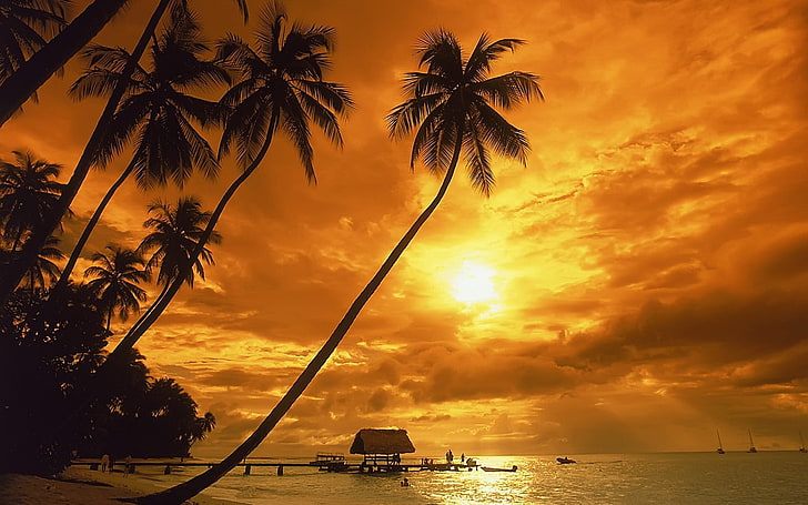 Tramonto tropicale, tramonto sulla spiaggia, Natura, Scenario, bellissimi sfondi naturali, incredibili sfondi natura, sfondi HD natura, sfondi tramonto tropicale, Sfondo HD