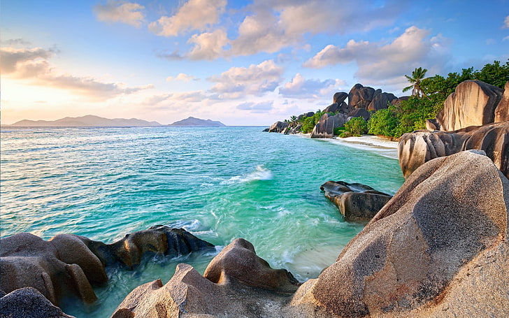 braune Felsen und grüne Kokospalme, Insel, Sommer, Himmel, Sand, Strand, Palmen, Steine, HD-Hintergrundbild