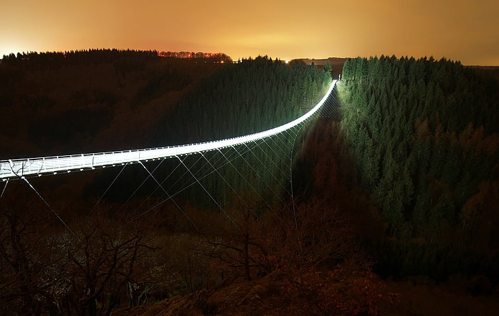 мост цифровые обои, темнота, ночь, огни, мост, деревья, лес, небо, HD обои