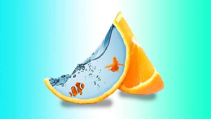水、オレンジ色のくさび、創造的な芸術、2匹の魚、креативныйарт、дверыбки、オレンジスライス、明るいターコイズブルーの背景、светло-бирюзовыйфон、 HDデスクトップの壁紙