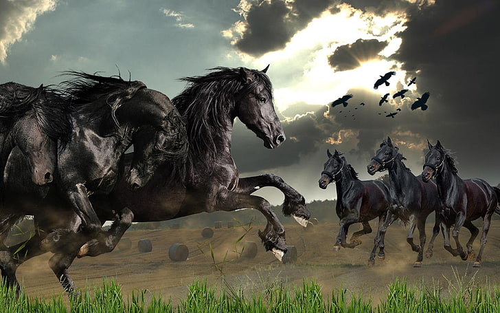 Dzikie konie na żywo Tapety Zrzut ekranu 3840 × 2400, Tapety HD