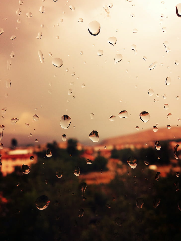 water dew, rain, window, water on glass, HD wallpaper