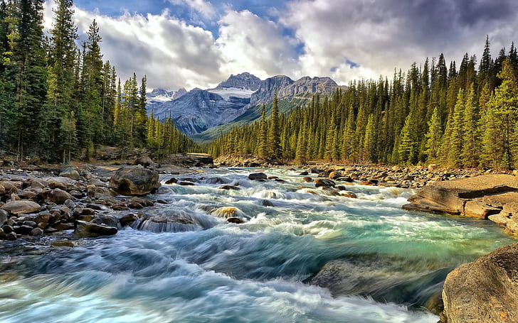 Alberta, Kanada Rocky Mountain riverbed dengan batu pinus hutan langit berawan Wallpaper untuk Desktop 1920 × 1200, Wallpaper HD