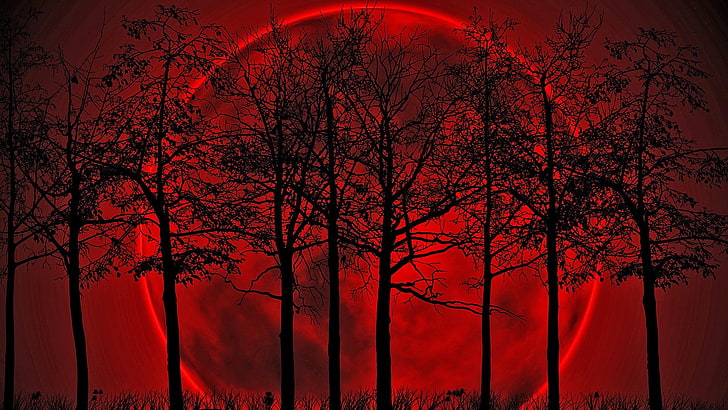 red moon illustration, Blood moon, HD wallpaper
